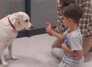 Dogoterapia
