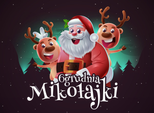 Zdjęcie 1