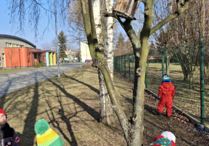 Zdjęcie 2