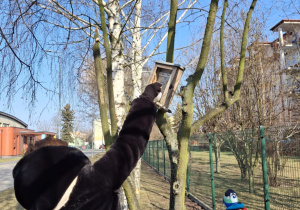 Zdjęcie 15
