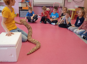 Spotkanie z wężem