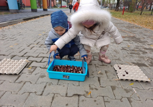Wyścigi