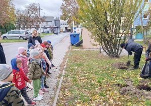 Sadzenie drzewek na osiedlu