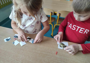 Ptasie puzzle