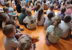 Zdjęcie 16 na 18