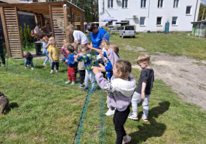 Zdjęcie 1 na 41