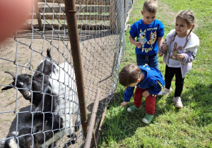 Zdjęcie 28 na 41