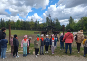 Zdjęcie 3 na 43