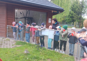 Zdjęcie 11 na 43