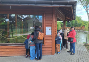 Zdjęcie 19 na 43