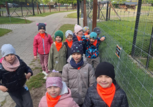 Zdjęcie 21 na 43