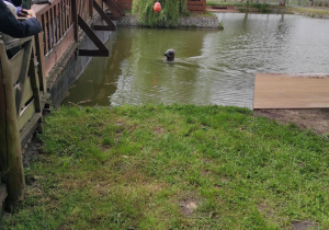 Zdjęcie 15 na 56