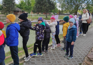 Zdjęcie 16 na 56