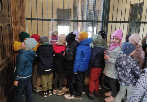 Zdjęcie 22 na 56