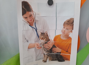 W przychodni weterynaryjnej