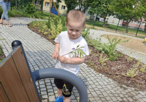 Zdjęcie 30 na 36