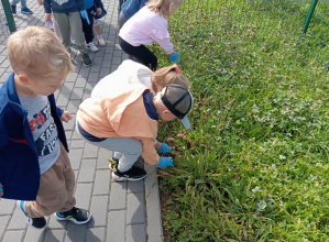 Akcja Sprzątanie Świata