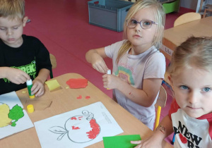 Zdjęcie 9 na 11