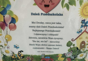 zdjęcie 13