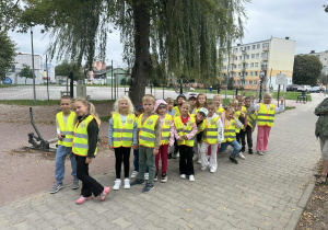 zdjęcie 1