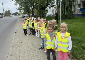 zdjęcie 12