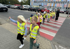 zdjęcie 13