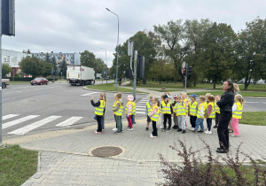 zdjęcie 14