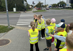 zdjęcie 15