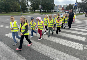zdjęcie 16