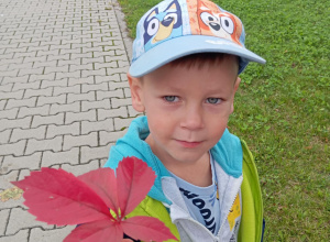 Kolorowa jesień