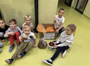 Zbieramy kasztany dla Hani
