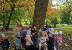 zdjęcie 5