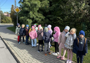zdjęcie 6