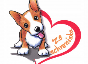 Spotkanie z psem ze schroniska