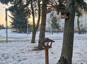 Dbamy o naszych młodszych braci