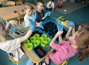 Sianie owsa i rzeżuchy na Wielkanoc