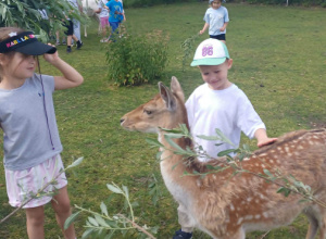 Wycieczka do Pawiego Oczka