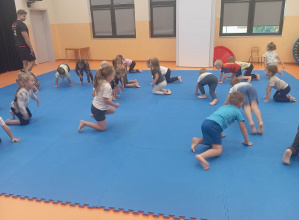 Judo