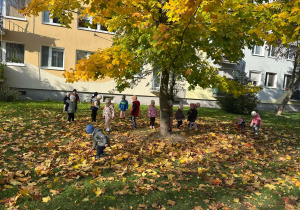 zdjęcie 17