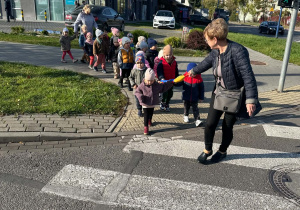 zdjęcie 13
